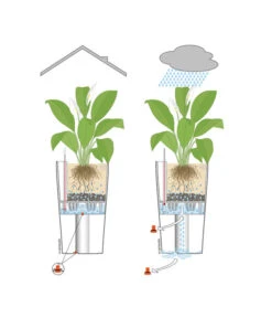 LECHUZA® QUADRO LS, All-in-One-Set -Ecopotos Geschaft 001 InOutdoorLechuza