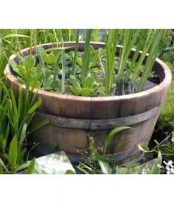 Holz-Weinfasskübel, Rund, Braun -Ecopotos Geschaft 1710680 WE MO 001 WeinfassKuebelEiche