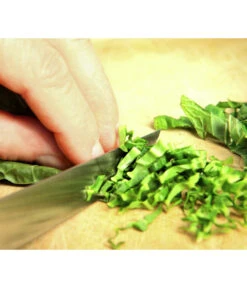 Wasabi -Ecopotos Geschaft 20120718 WE MO 003 Wasabi Gs Detail Blaetter schneiden