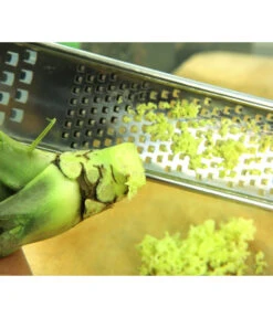 Wasabi -Ecopotos Geschaft 20120718 WE MO 004 Wasabi Gs Reibe