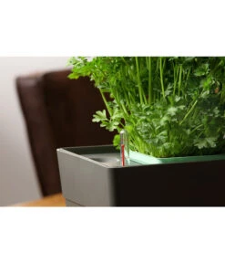 GREENBAR® Kräuterkasten, Ca. B48/H15,5/T16 Cm 20 GREENBAR® Kräuterkasten, Ca. B48/H15,5/T16 Cm -Ecopotos Geschaft 20150713 350 greenbar fuellanzeiger studio herzig