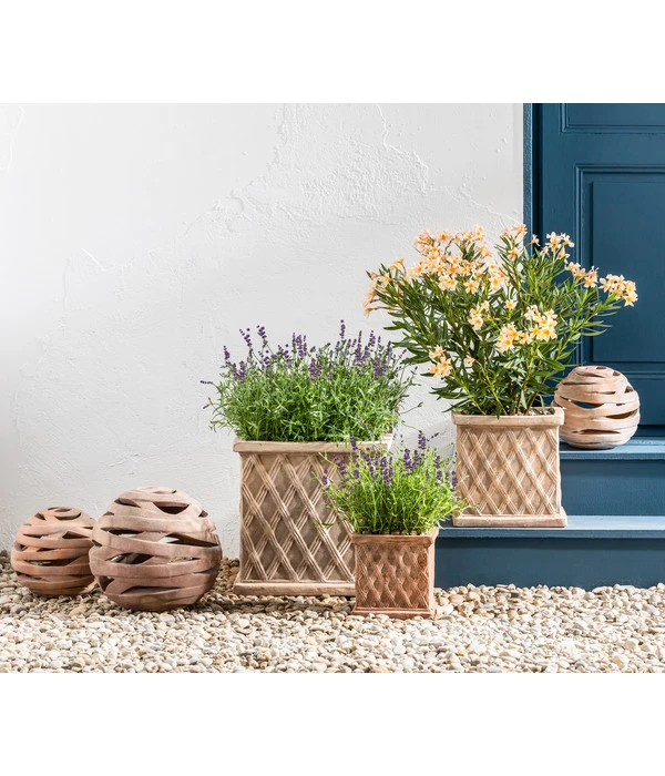 Lavendel 4 Lavendel – Bild 2