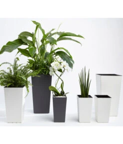 Dehner Kunststoff-Topf Elise, Konisch, Matt, Inkl. Bewässerungsystem -Ecopotos Geschaft 2539427 WE MO 001 KunststoffTopfEliseWeissTaupeAnthrazitFotoshootingUveSauerFebruar2016