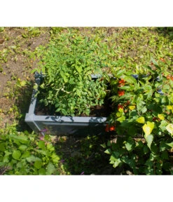 KHW Kunststoff-Pflanzkasten, 100 X 43 X 41 Cm 15 KHW Kunststoff-Pflanzkasten, 100 X 43 X 41 Cm -Ecopotos Geschaft 2549483 WE DE 003 Pflanzkasten100cmanthrazit