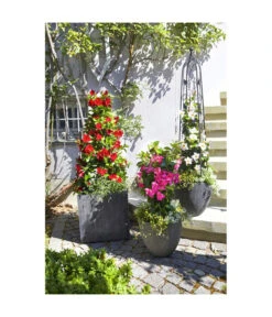 Dehner Polystone-Topf Brisbane In Riffeloptik, Rund 13 Dehner Polystone-Topf Brisbane In Riffeloptik, Rund -Ecopotos Geschaft 3158847 3158870 3158888 3158995 3159092 3159126 WE MO 004 PolystoneTopfinRiffeloptikrundsand