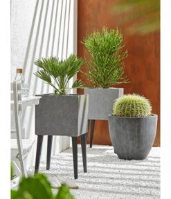 Dehner Polystone-Topf Brisbane In Riffeloptik, Rund 14 Dehner Polystone-Topf Brisbane In Riffeloptik, Rund -Ecopotos Geschaft 3158847 3158870 3158888 WE MO 005 PolystoneTopfinRiffeloptik