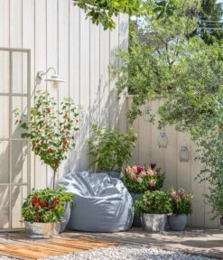 Zink-Pflanzkübel, Ø 36 Cm 6 Zink-Pflanzkübel, Ø 36 Cm -Ecopotos Geschaft 323618 WE MO 001 ZinkPflanzkuebel