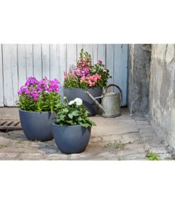 Dehner Leichtbeton-Pflanztopf Manchester, Rund, Antik-schwarz -Ecopotos Geschaft 3337151 3337169 3337136 3337144 WE MO 002 DehnerLeichtbetonPflanztopfantikschwarz