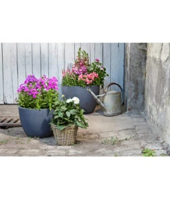 Dehner Leichtbeton-Pflanztopf Manchester, Rund, Antik-schwarz -Ecopotos Geschaft 3337151 3337169 3337136 3337144 WE MO 003 DehnerLeichtbetonPflanztopfantikschwarz