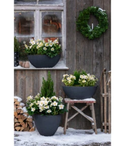 Dehner Kunststoff-Topf Stone, Anthrazit 5 Dehner Kunststoff-Topf Stone, Anthrazit -Ecopotos Geschaft 3694254 3693926 WE MO 001 KunststoffTopfStonekonischanthrazit