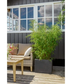 Dehner Kunststoff-Blumenkübel Palermo, Anthrazit -Ecopotos Geschaft 3728110 3728151 3940756 WE MO 009 KunststoffBlumenkuebelKubusanthrazitBlumentopf