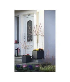 Dehner Kunststoff-Blumenkübel Palermo, Anthrazit -Ecopotos Geschaft 3728110 WE MO 001 KunststoffTopfKubusAnthrazitBlumenkuebelBlumentopfKubus