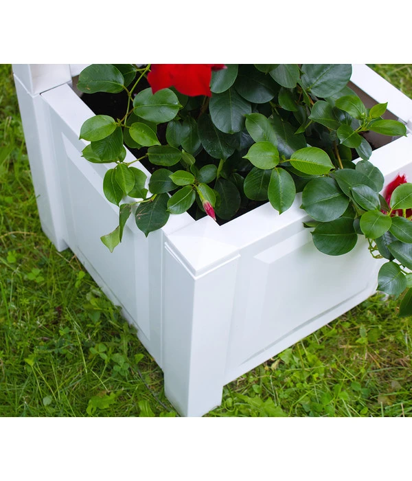 KHW Kunststoff-Pflanzkasten Mit Spalier, 43 X 43 X 140 Cm 5 KHW Kunststoff-Pflanzkasten Mit Spalier, 43 X 43 X 140 Cm – Bild 3