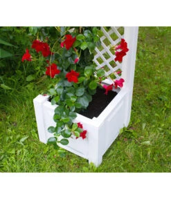 KHW Kunststoff-Pflanzkasten Mit Spalier, 43 X 43 X 140 Cm 16 KHW Kunststoff-Pflanzkasten Mit Spalier, 43 X 43 X 140 Cm -Ecopotos Geschaft 3913688 WE DE 004 KastenSpalier43weiss
