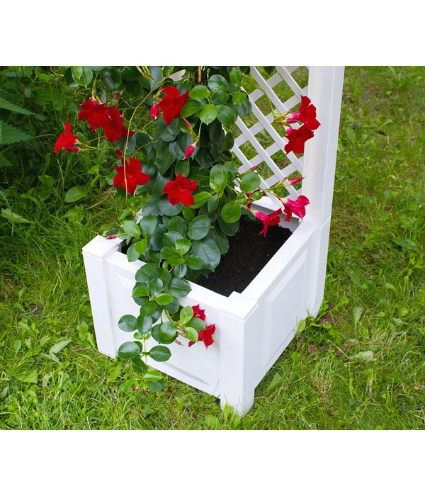 KHW Kunststoff-Pflanzkasten Mit Spalier, 43 X 43 X 140 Cm 8 KHW Kunststoff-Pflanzkasten Mit Spalier, 43 X 43 X 140 Cm – Bild 6