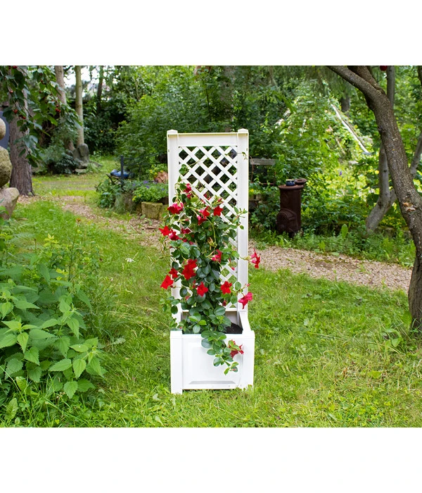 KHW Kunststoff-Pflanzkasten Mit Spalier, 43 X 43 X 140 Cm 3 KHW Kunststoff-Pflanzkasten Mit Spalier, 43 X 43 X 140 Cm