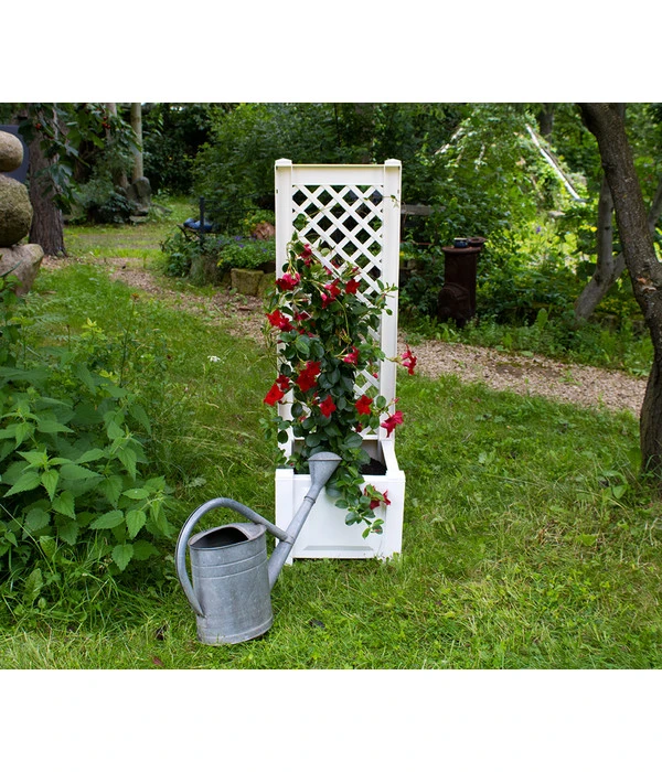 KHW Kunststoff-Pflanzkasten Mit Spalier, 43 X 43 X 140 Cm 4 KHW Kunststoff-Pflanzkasten Mit Spalier, 43 X 43 X 140 Cm – Bild 2
