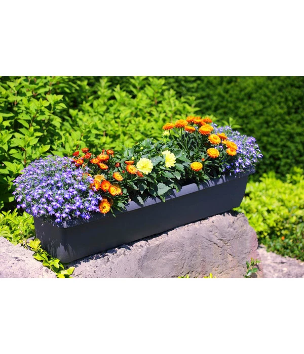 Geli Kunststoff-Blumenkasten Aqua Andalucia 4 Geli Kunststoff-Blumenkasten Aqua Andalucia – Bild 2