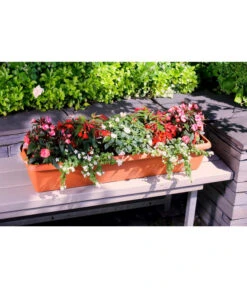 Geli Kunststoff-Blumenkasten Aqua Andalucia 7 Geli Kunststoff-Blumenkasten Aqua Andalucia -Ecopotos Geschaft 3955739 WE MO 002 GeliKunststoffBlumenkastenAquaAndaluciamitLangzeitbewaesseungssystem