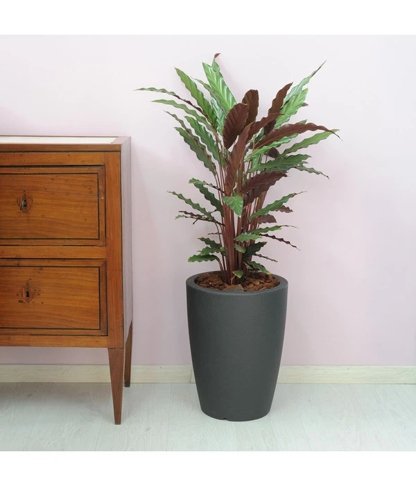 Farmet Kunststoff-Topf-Set Hydra, Konisch, Anthrazit, 2-teilig 4 Farmet Kunststoff-Topf-Set Hydra, Konisch, Anthrazit, 2-teilig – Bild 2