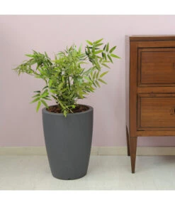 Farmet Kunststoff-Topf-Set Hydra, Konisch, Anthrazit, 2-teilig 10 Farmet Kunststoff-Topf-Set Hydra, Konisch, Anthrazit, 2-teilig -Ecopotos Geschaft 4183653 WE DE 002 HYDRARunderPflanzkuebelDurchmesser36cm50cmhochDUNKELANTHRAZIT