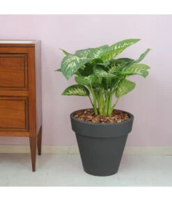 Ecopotos Geschaft -Ecopotos Geschaft 4185401 WE DE 002 PEGASUSKonischerPflanzkuebelDurchmesser40cm37cmhochDUNKELANTHRAZIT