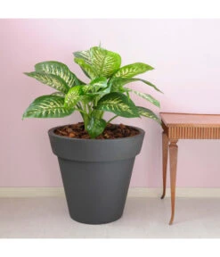 Farmet Kunststoff-Topf-Set Pegasus, Konisch, Anthrazit, 2-teilig -Ecopotos Geschaft 4185690 WE DE 002 PEGASUSKonischerPflanzkuebelDurchmesser50cm46cmhochDUNKELANTHRAZIT