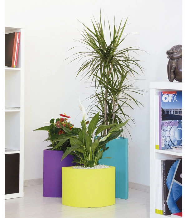 Farmet Kunststoff-Pflanzkübel-Set Blütenblatt Petalo, Ca. ø 50/H50 Cm, 3-teilig 4 Farmet Kunststoff-Pflanzkübel-Set Blütenblatt Petalo, Ca. ø 50/H50 Cm, 3-teilig – Bild 2