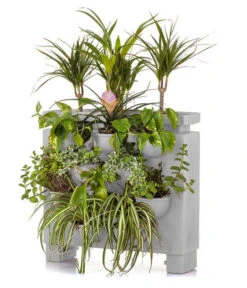 Farmet Kunststoff-Pflanzkasten Orto Di Giulio, Ca. B60/H60/T26 Cm 7 Farmet Kunststoff-Pflanzkasten Orto Di Giulio, Ca. B60/H60/T26 Cm -Ecopotos Geschaft 4186466 WE DE 002 VertikalerGartenORTODIGIULIOsmallsize60x26x60cmhochSTEINBEIGE