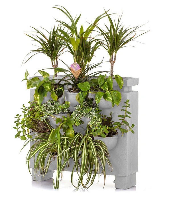 Farmet Kunststoff-Pflanzkasten Orto Di Giulio, Ca. B60/H60/T26 Cm 4 Farmet Kunststoff-Pflanzkasten Orto Di Giulio, Ca. B60/H60/T26 Cm – Bild 2