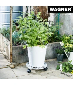 Wagner Pflanzenroller Antik, Ø 29 Cm, Weiß -Ecopotos Geschaft 4272506 WE MO 001 PflRollerAntikD29CM