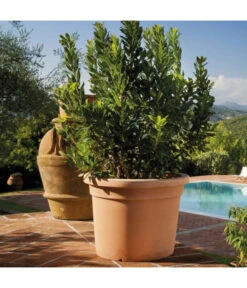 Farmet Kunststoff-Topf, Rund 6 Farmet Kunststoff-Topf, Rund -Ecopotos Geschaft 4311809 WE DE 002 ZYLPFLANZKD40H30IMPU