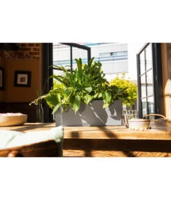 LECHUZA® Kunststoff-Kasten Balconera Stone -Ecopotos Geschaft 4318606 WE MO 001 LechuzaKunststoffBalkonkastenBalconeraStonePflanzkastenBlumenkasten