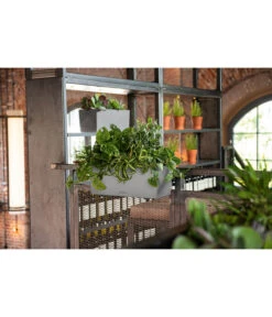 LECHUZA® Kunststoff-Kasten Balconera Stone -Ecopotos Geschaft 4318606 WE MO 002 LechuzaKunststoffBalkonkastenBalconeraStonePflanzkastenBlumenkasten