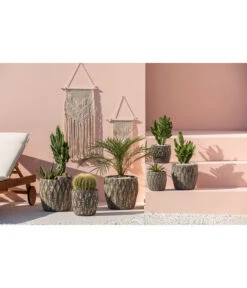 Agave 'Cuba' - Agave, Verschiedene Sorten -Ecopotos Geschaft 4432415 PR MO 001 KeramikTopfNero