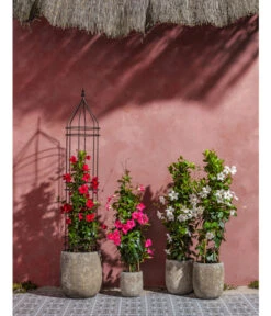 Dehner Keramik-Topf Bungxe, Meliert -Ecopotos Geschaft 4435640 4435665 4435673 WE MO 004 DehnerKeramikTopfBungxe