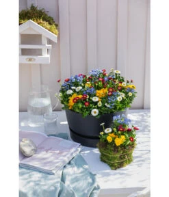 Elho Kunststoff-Schale Greenville, Ca. Ø33/H19,5 Cm -Ecopotos Geschaft 4474292 WE MO 002 elhoKunststoffSchaleGreenville