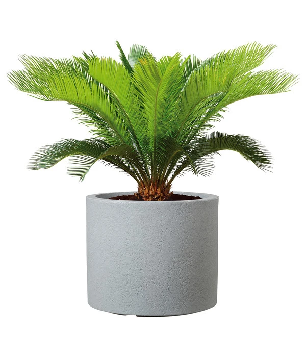 Scheurich Kunststoff-Topf Riva, Rund 4 Scheurich Kunststoff-Topf Riva, Rund – Bild 2