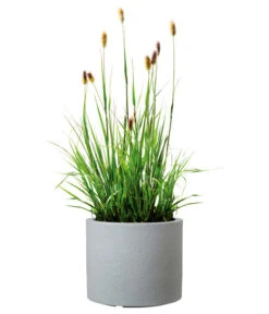 Scheurich Kunststoff-Topf Riva, Rund 13 Scheurich Kunststoff-Topf Riva, Rund -Ecopotos Geschaft 4498838 WE FS 003 ScheurichKunststoffTopfRivarund