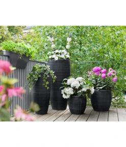 Dehner Polystone-Topf Singapur, Rund, Anthrazit -Ecopotos Geschaft 5147558 WE MO 001 DehnerPolystoneTopfrundanthrazit