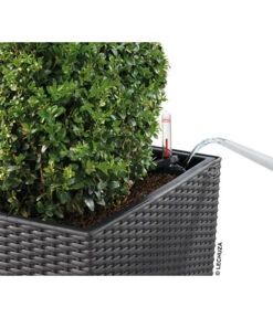 LECHUZA® Kunststoff-Topf Cube Cottage, Quadratisch 25 LECHUZA® Kunststoff-Topf Cube Cottage, Quadratisch -Ecopotos Geschaft 5181169 WE DE 001 LechuzaKunststoffTopfCubeCottage