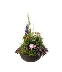 Vasar Kunststoff-Schale Aurora, Rund, Terrakotta -Ecopotos Geschaft 5187752 BildFS 001 KunststoffschaleAuroraBraunBepflanztHerbstGross