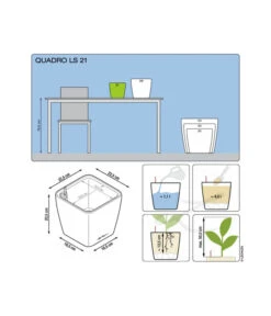 LECHUZA® QUADRO LS, All-in-One-Set -Ecopotos Geschaft 5390174 3175270 5473541 5390182 5390190 5390166 WE DE 001 QuadroPremium21