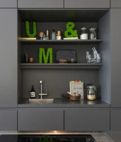 Ecopotos Geschaft -Ecopotos Geschaft 6428007 WE MO 001 ZeichenIslandmoos