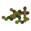 StyleGREEN Bilder-Set Aus Moos Und Kork, Hexagon, 25-teilig 2 StyleGREEN Bilder-Set Aus Moos Und Kork, Hexagon, 25-teilig -Ecopotos Geschaft 6429849 WE FS 001 HexagonSet25er