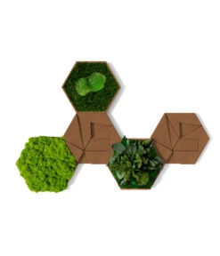 StyleGREEN Bilder-Set Aus Moos Und Kork, Hexagon, 5-teilig