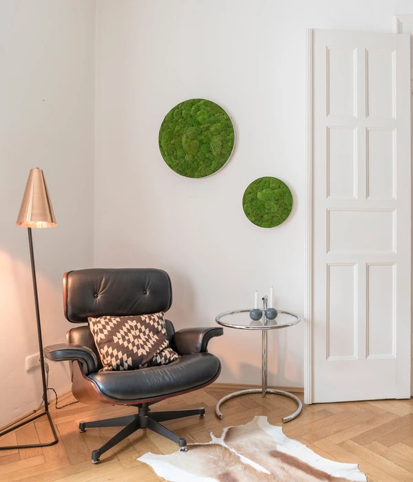 StyleGREEN Bild Aus Kugelmoos, Ellipsoid, Ca. Ø54 Cm 6 StyleGREEN Bild Aus Kugelmoos, Ellipsoid, Ca. Ø54 Cm – Bild 4