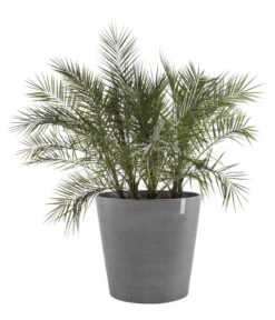 Ecopots Kunststoff-Topf Amsterdam Mit Rollen, Rund -Ecopotos Geschaft 6614283 WE FS 002 EcopotsKunststoffTopfAmsterdammitRollenrund