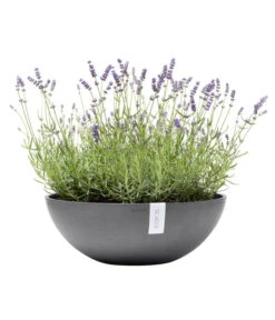 Ecopots Kunststoff-Topf Vienna, Rund, Grau, Ca. Ø50/H18 Cm 10 Ecopots Kunststoff-Topf Vienna, Rund, Grau, Ca. Ø50/H18 Cm -Ecopotos Geschaft 6614457 WE FS 002 EcopotsKunststoffTopfViennarundgrau