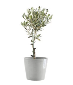 Ecopots Kunststoff-Topf Amsterdam Mit Wassersystem, Rund, Hellgrau -Ecopotos Geschaft 6614846 WE FS 004 EcopotsKunststoffTopfAmsterdammitWassersystemrundhellgrau